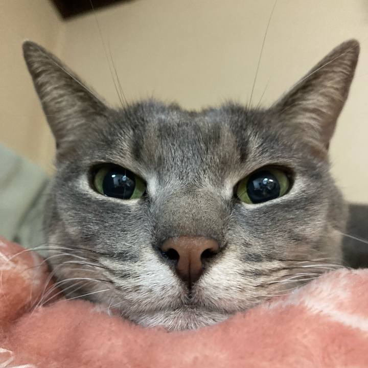 258e232c 01ad 41c8 bdc8 3d69842853c5 1668958017515