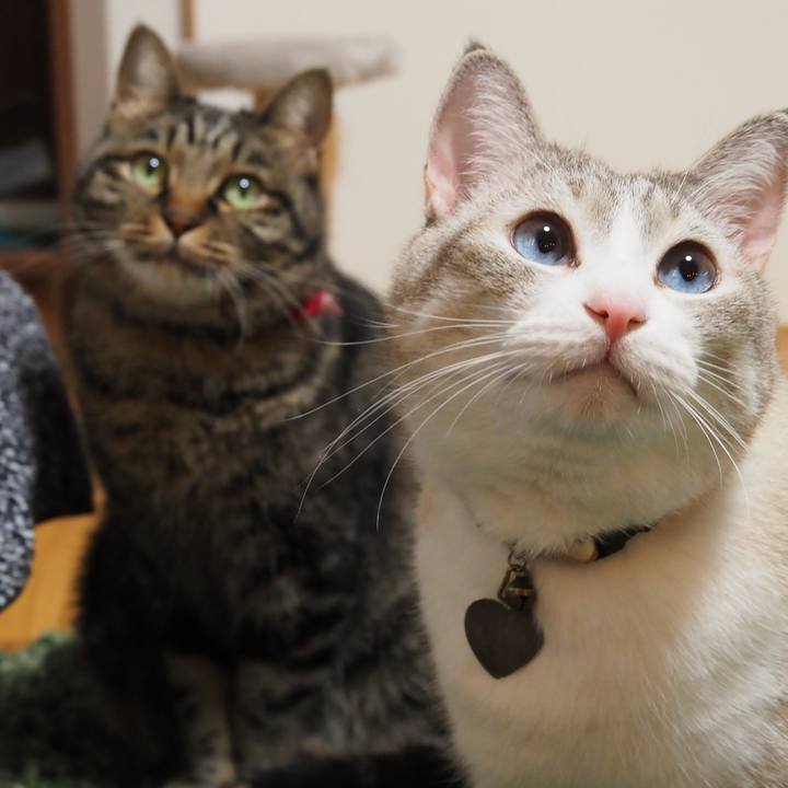 258e2a09 a937 4d9c adb3 f5e078473170 1607085261985