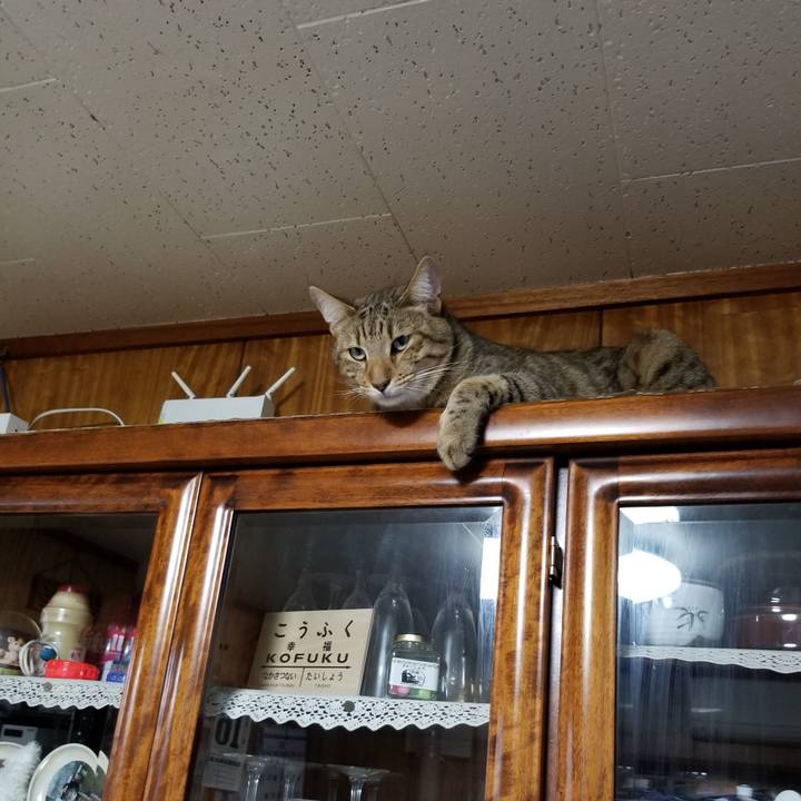 258e3373 8837 4665 aa9d 5c2aed2bfdbe 1624025484092