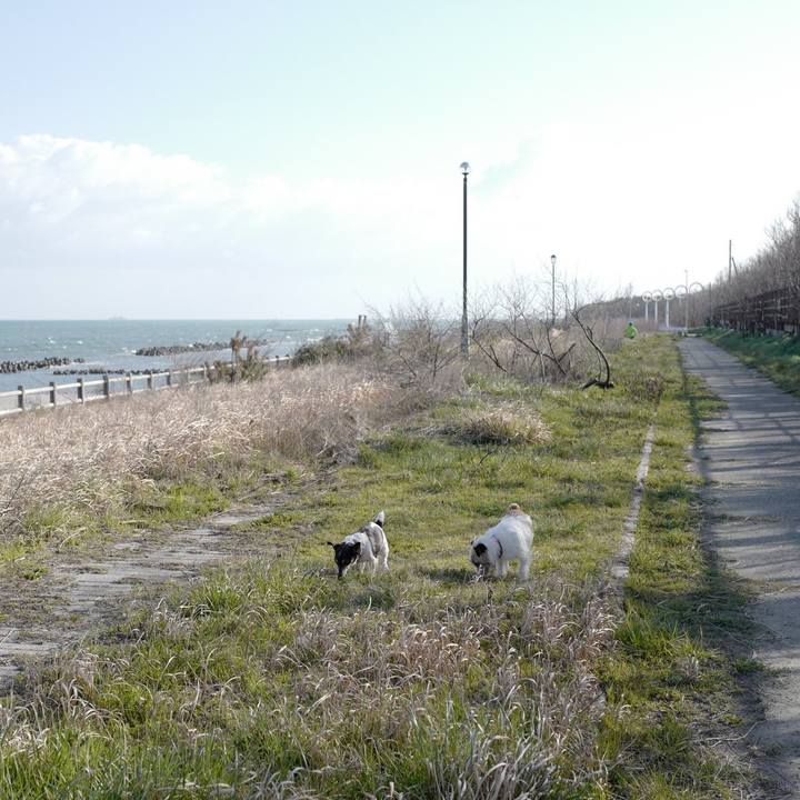 258e9f0f b14f 4f75 ba5c 9368acccdc9b 1554523951953