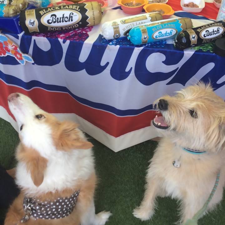 258ea6c0 fc9c 4b62 a04f 7d8d579106e7 1649470029037