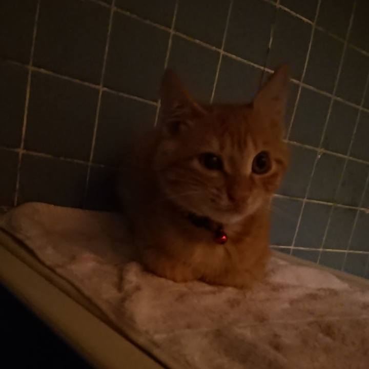 258ec0b3 60ba 4a23 97c3 03bbe7b3fc3b 1632477782551