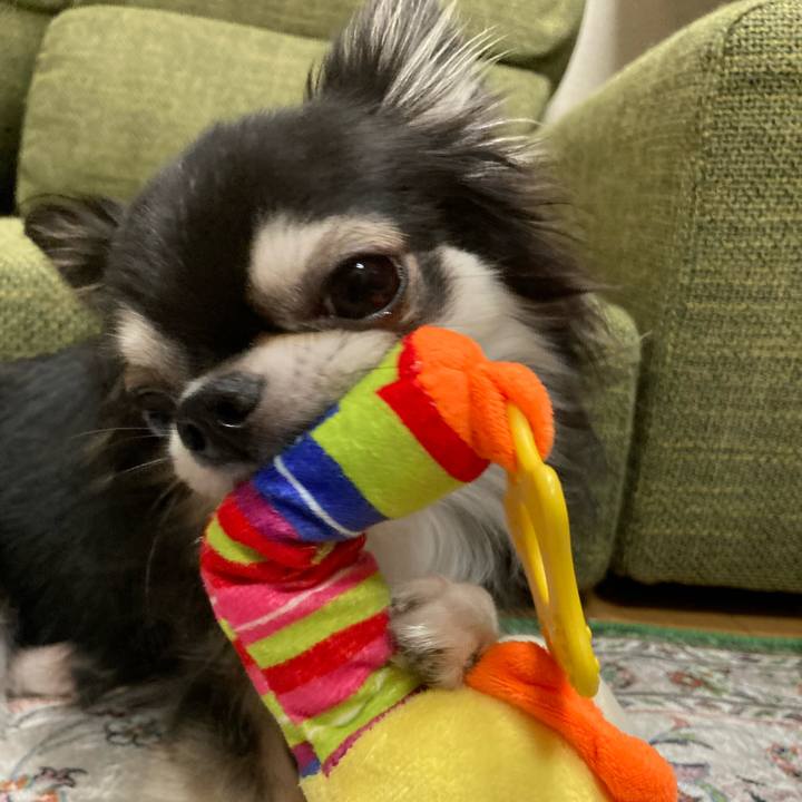 258ec444 7fcf 47bc b7fa 3491f3410e42 1664721675790