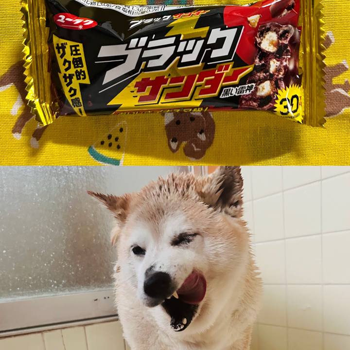 258ef57b e966 4f51 a4d8 1ae784a9932e 1739944261156