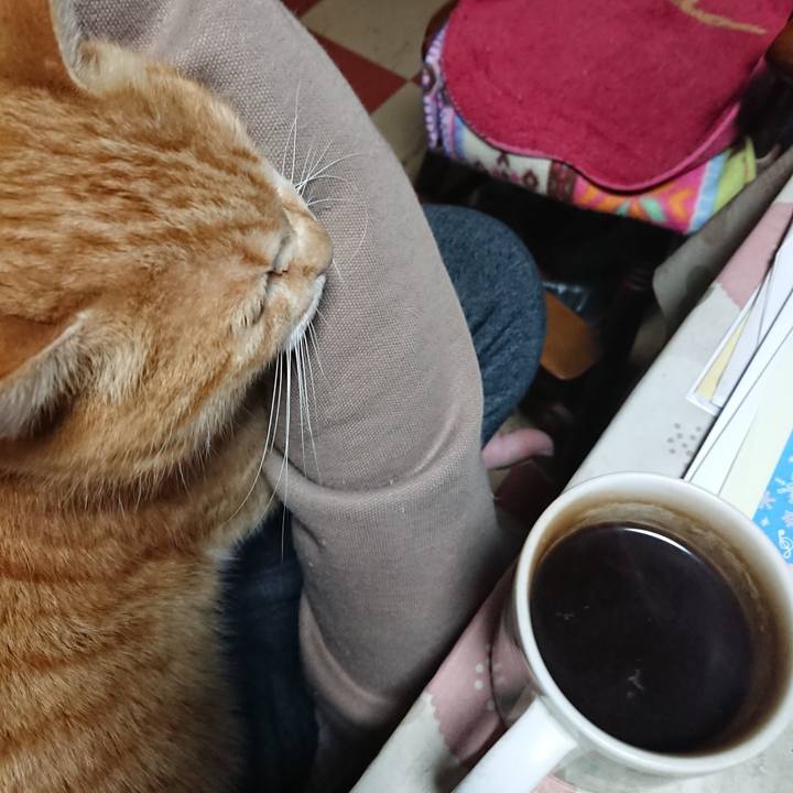 258f10b8 f2d0 48f7 bbb0 69ca2e08f493 1582056123129