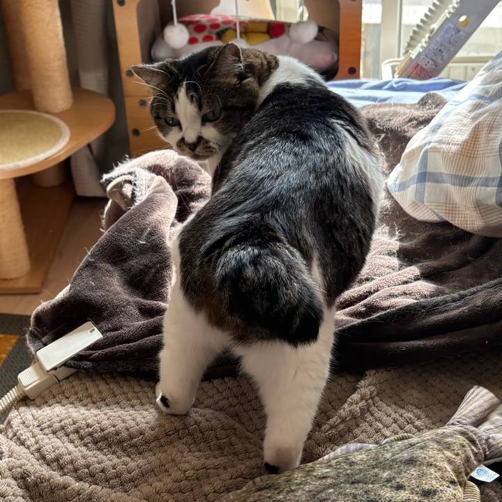 258f48dd 5f10 43b5 a782 713d4b1c9f60 1761621036702