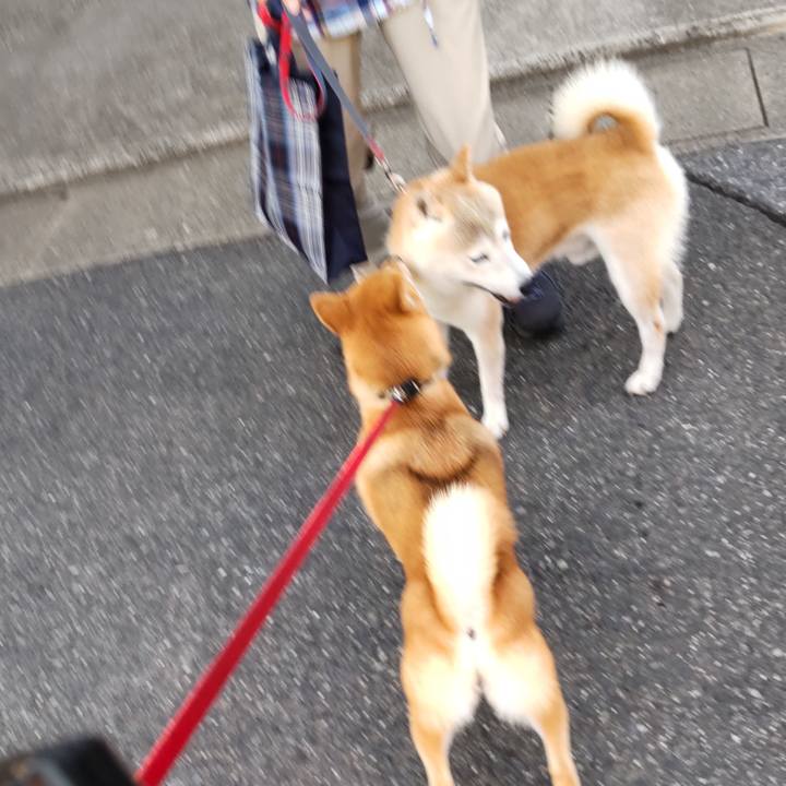 258f7932 c990 4066 838e 8f58f8ad2289 1658309832052