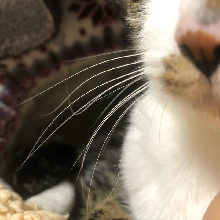 258f8b8b 0321 4fc2 9485 a0b6ef7113ad 1636185406873