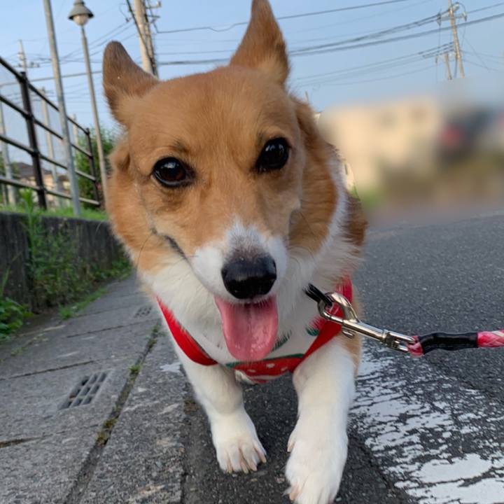 258fa8b7 3237 48a2 a63f 6e2ce93ae4e9 1595194384189