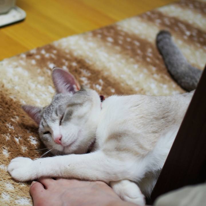 258fad59 7031 4a08 af0b 7a8b4e0649a5 1524573637437