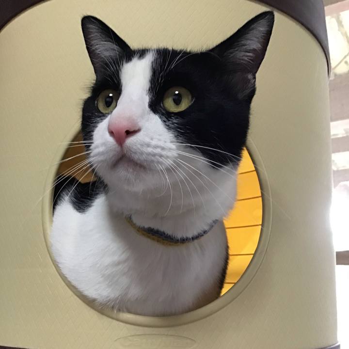 258fc216 0ab1 4923 b058 ccf1fe13ae5d 1649834369903