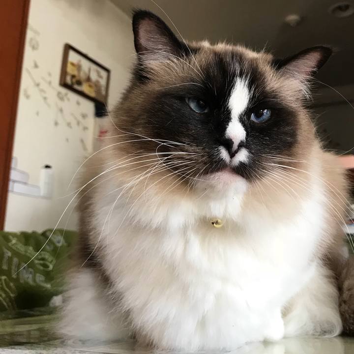 258ffc8c f115 41be ac68 4d8257e121ba 1516495129630