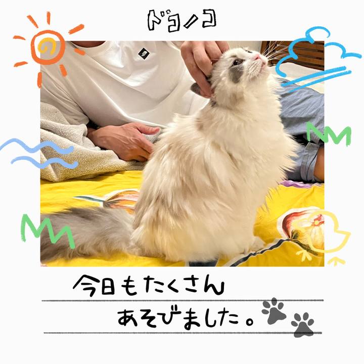 25902071 9aa8 408b 879c d1057141fc53 1755517065544