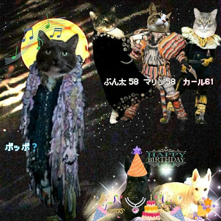 259022ae 9aba 4f1c b5de dc96aceaa62c 1542234876406