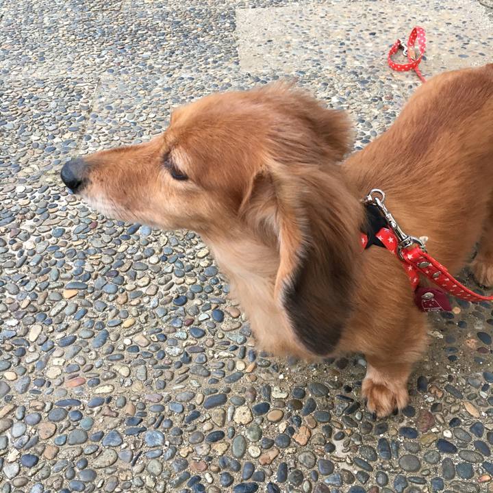 2590284d 753c 4aa8 8e32 08792af21f8f 1582363770802