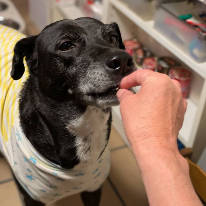 25902dfe 5b82 4e0f 9d24 235d1b5f9d04 1733013074511