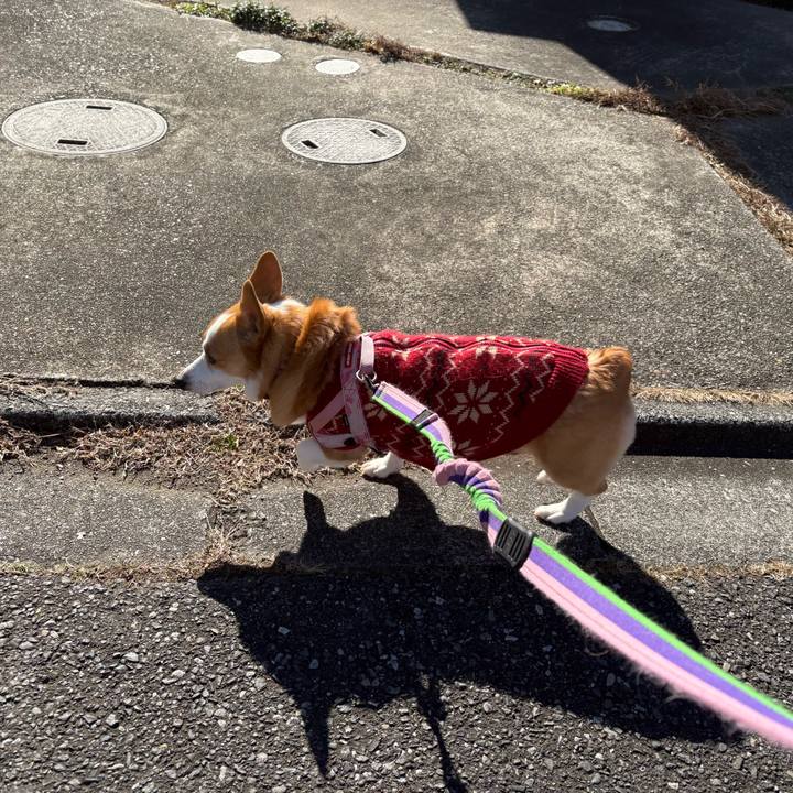 2590386b b7c2 4951 84b5 6aff04b8259c 1768965414016