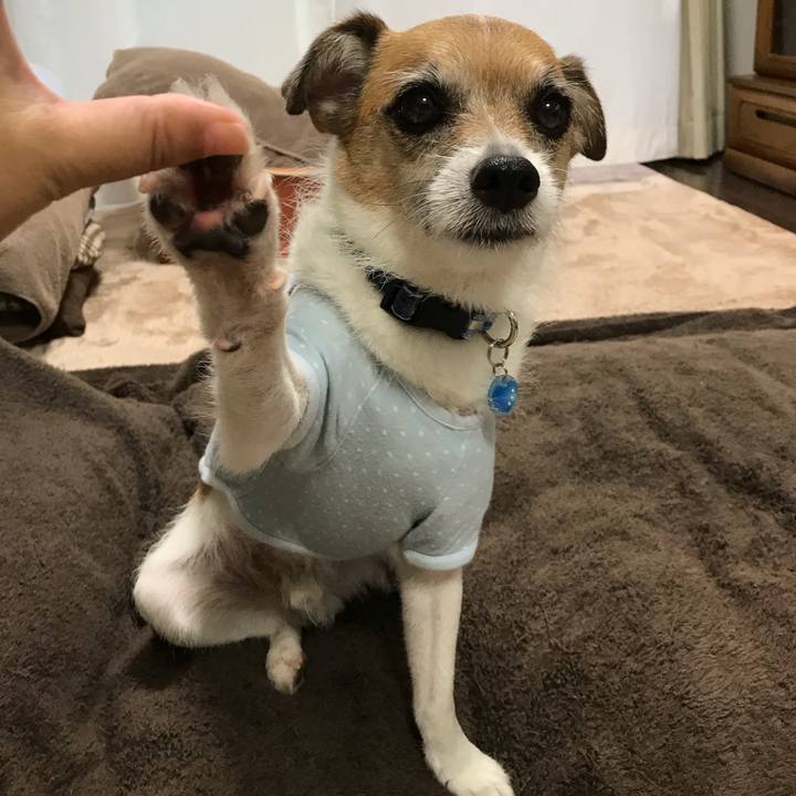 259046d0 4fab 48a4 873c 444d406ee84f 1561890732066