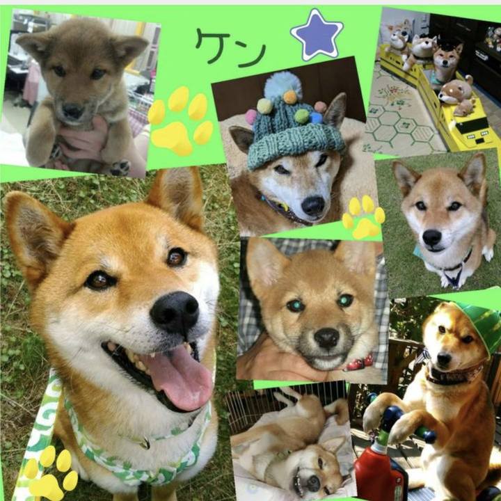 259050ae 91fb 4c58 9799 9ab168b8c65e 1702862067615