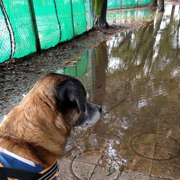 25906dea 5f10 4766 a1e9 62d176778ffd 1508460474219