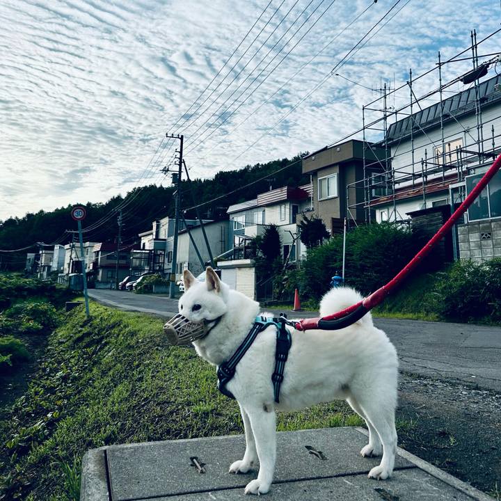 2590cf92 5464 4227 8bf8 2ddc24a2e973 1694814984526