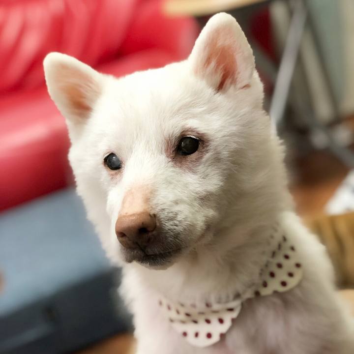 2590d6fa 4a06 4143 bbe8 ff147c4f68bd 1613298928780