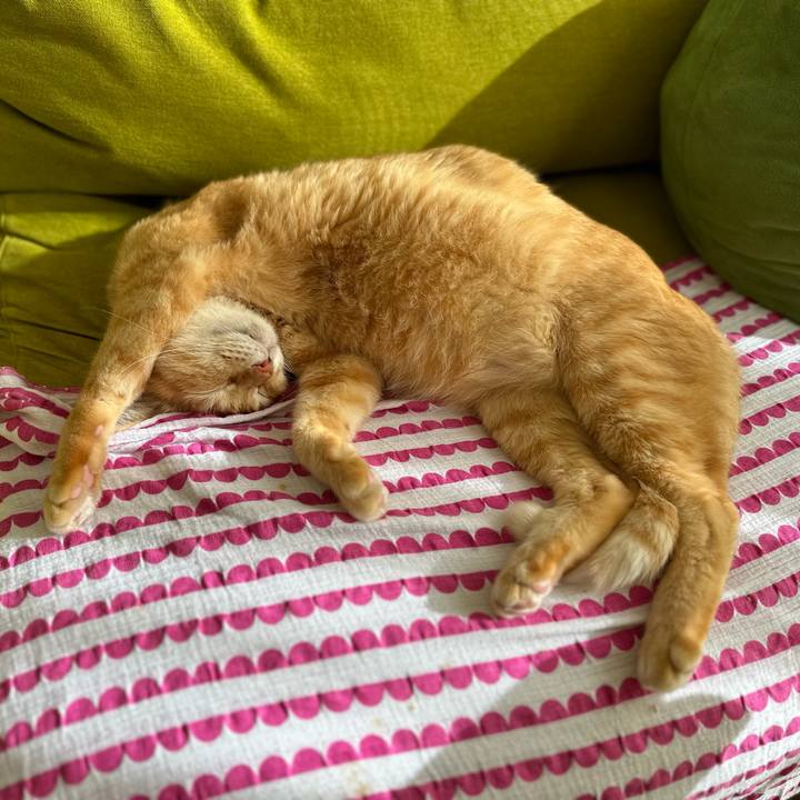 2590fc40 c794 4058 bf69 7f413d15ce9c 1759191002868