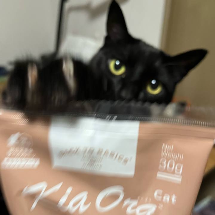 25910825 4226 402a 8669 2123e161a756 1743165063570