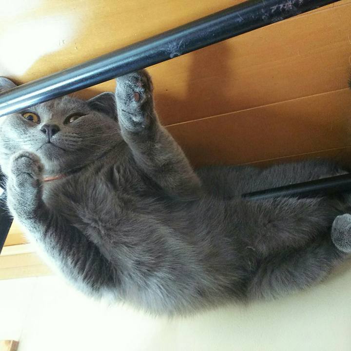 25917ff5 4f06 40cc b42c 6746e6dc01e6 1534239945474