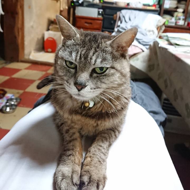 259197e0 e653 41f2 ac9e e63e2abc95c0 1561721877751