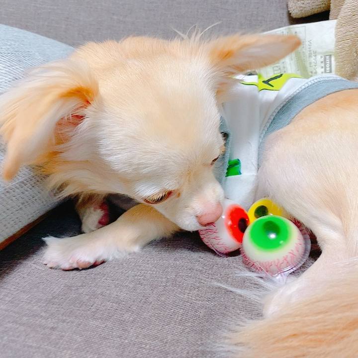 2591b6a8 513b 4336 8ffc e900a965f3a3 1634439776475