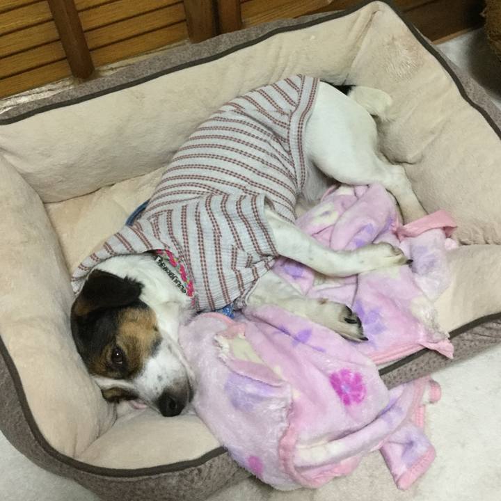 2591c6ef 4f58 4138 be4b fd199396b9e2 1511781300810