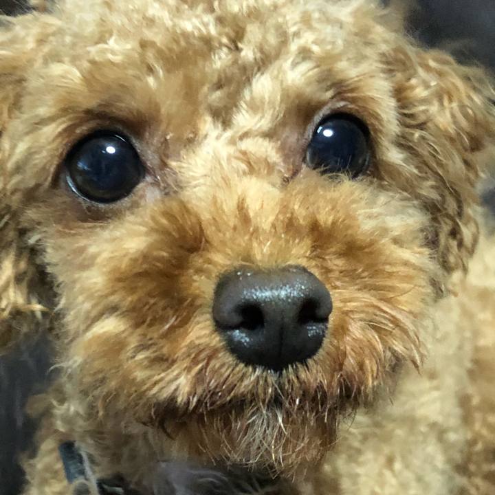 2591cf12 b0ca 422f ba1a 6e0e599be08b 1529923797493