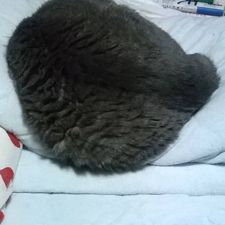 2591d791 45b4 4512 bf54 65a4e8e5d69a 1662149269506