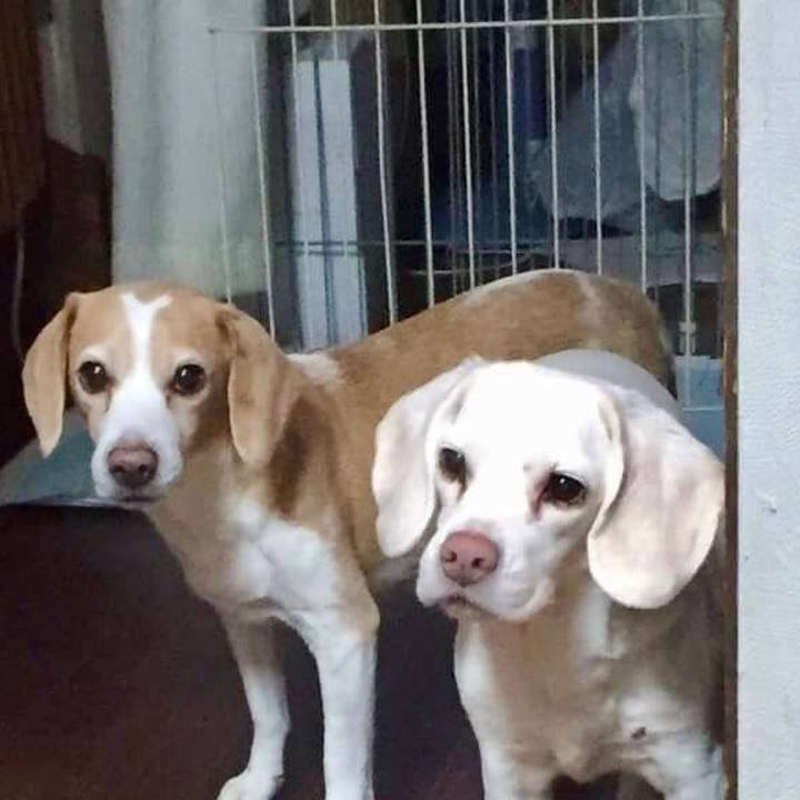 2591dee2 75c6 49f3 a18a e375e4bc82eb 1581676982039