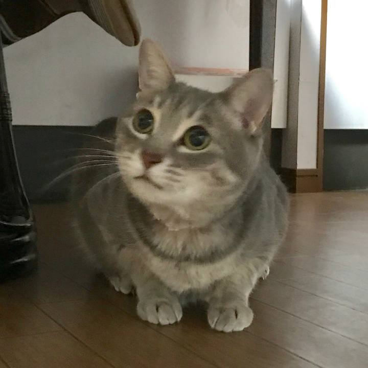 25920246 0593 4c7e b3e4 f43c284d9b04 1611655084357