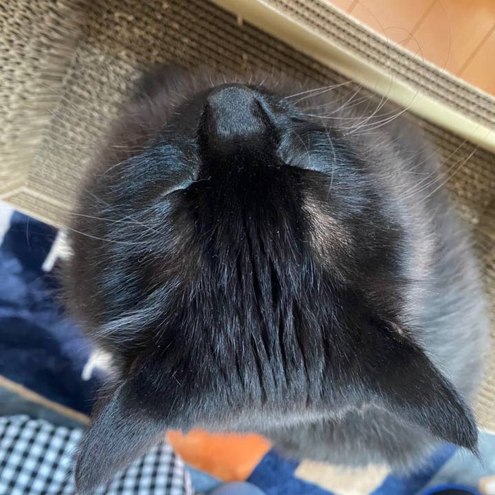 2592074e 71d0 4648 8c9a 234897b35f30 1588305425819