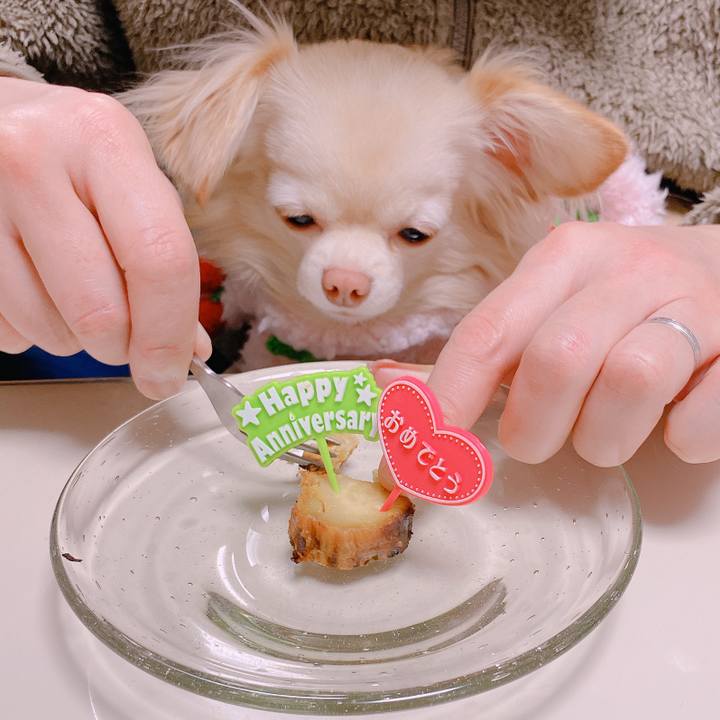 2592226f 9c3f 441f 96e6 3023d390a573 1643604403013