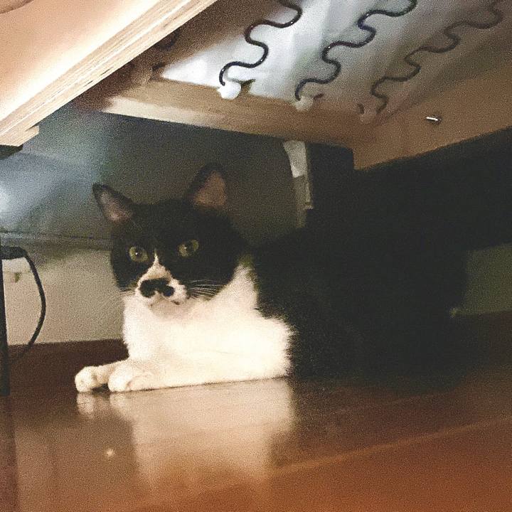 259226f5 6b2f 4300 9282 9c13f0ae1ca6 1664087144265