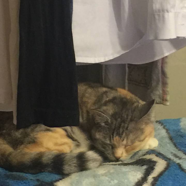 25928616 5d4b 4564 8310 cdb297561d57 1561302143948