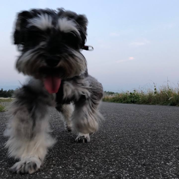 25928a5a 3088 4de6 9198 dadeeafd4805 1623334442846