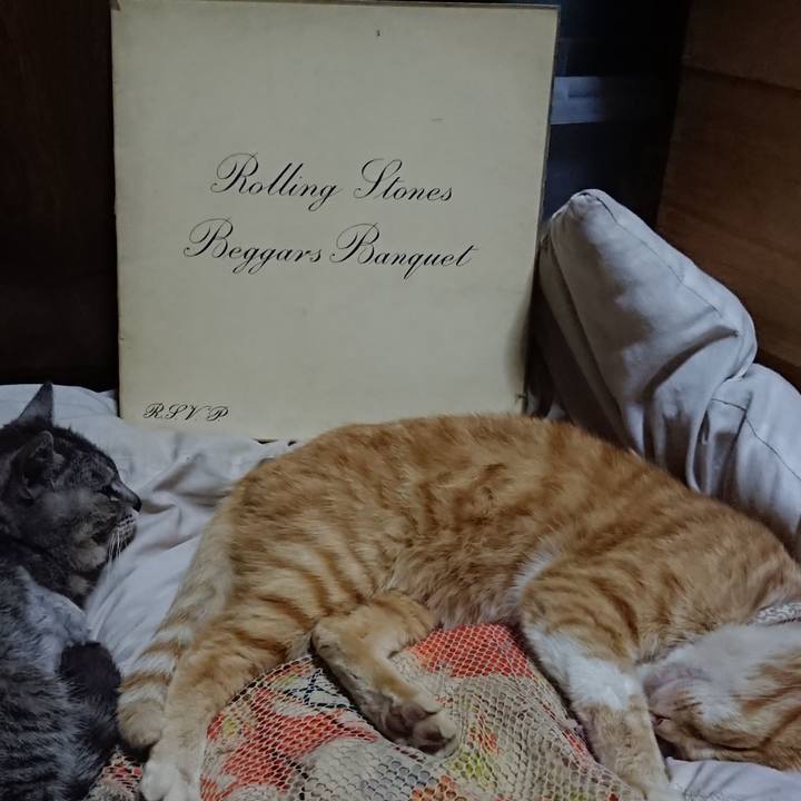 2592acc5 f14a 4d0b a1ef 70ad3797fd62 1591100367824