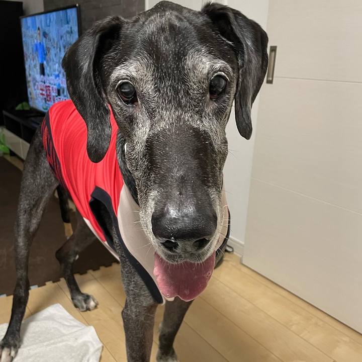 2592fca1 3412 4c01 a41b 44469299f3f4 1667994440900