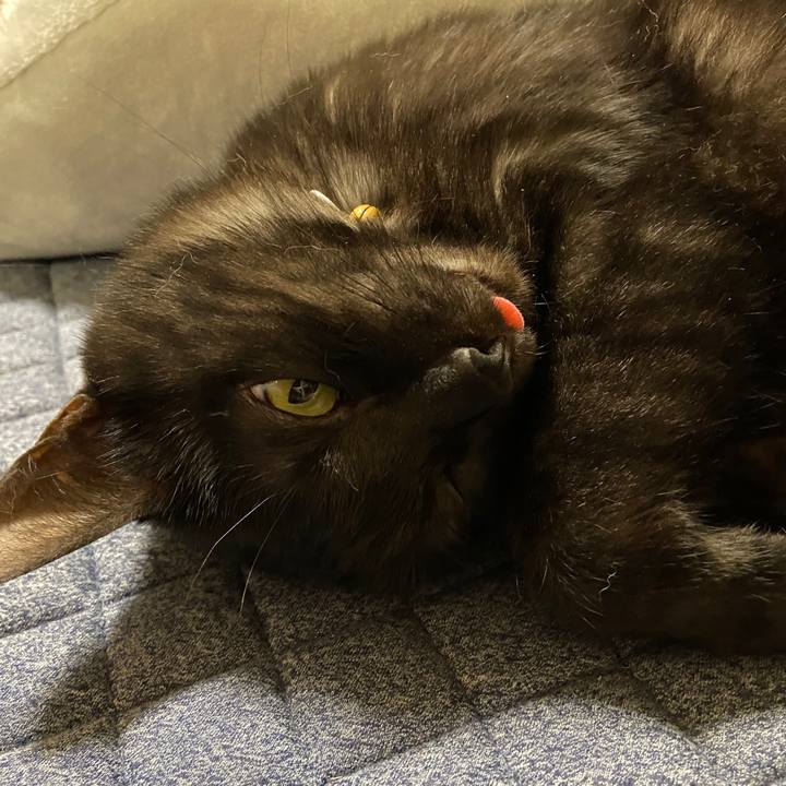 259301f5 e9a0 4058 97b6 abbbbdffdb3a 1622601751827