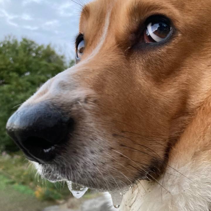 259366d0 c482 4cc5 9fc3 530655cffb63 1698021355501