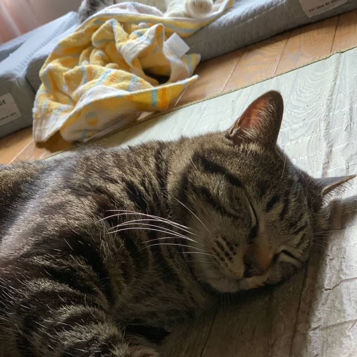 25938ace 239f 48c4 aca4 c11f23ca0d43 1603589179361