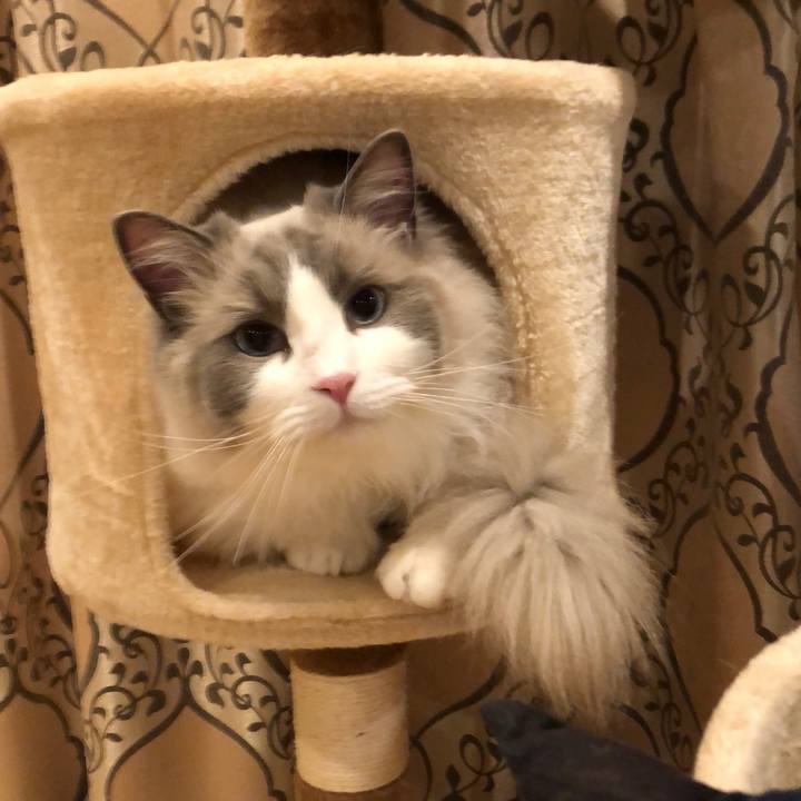 2593bfdd b7a2 4946 965e aeb559250573 1584316588370