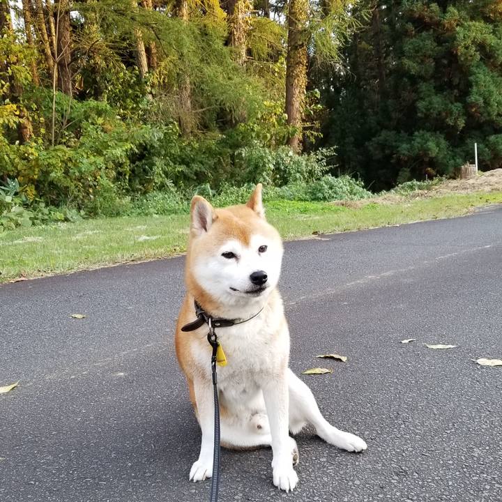 2593faa5 9ded 43bb bf3e af5862c55ffc 1603782565443