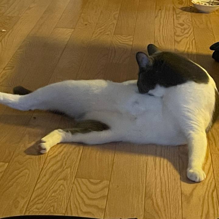 259465fe ebe3 4296 ad20 94a212881774 1629360827871