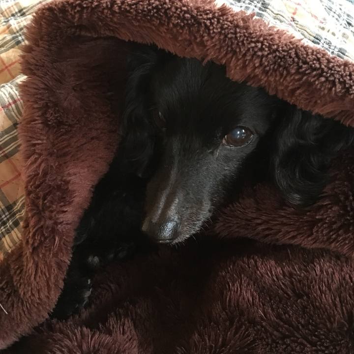 25946a80 011c 4003 aecb 02304ab18dae 1511996897259